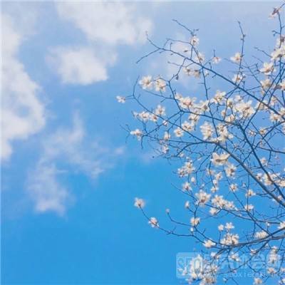 澳门人威尼斯3966