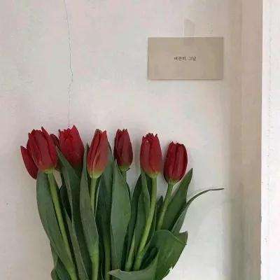 买球的app排行榜前十名推荐